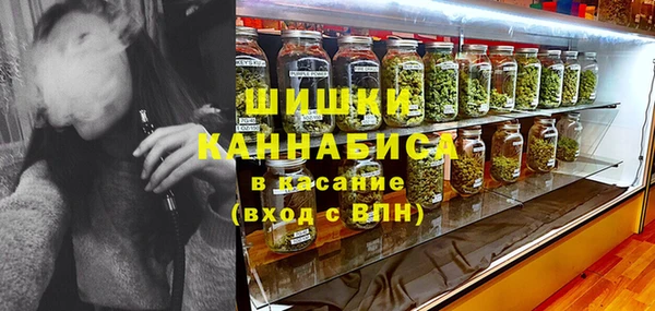 шишки Магадан