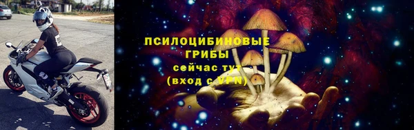 бошки Медногорск