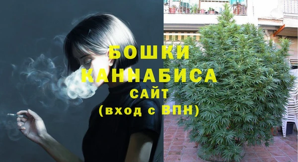 ГАЛЛЮЦИНОГЕННЫЕ ГРИБЫ Вяземский