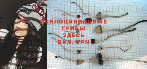 бошки Магас