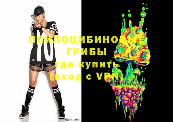 бошки Медногорск
