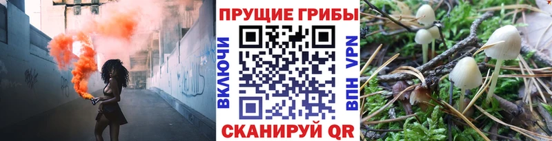 Галлюциногенные грибы MAGIC MUSHROOMS  дарнет шоп  Новый Оскол 